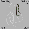 FE1