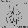 FE3Y